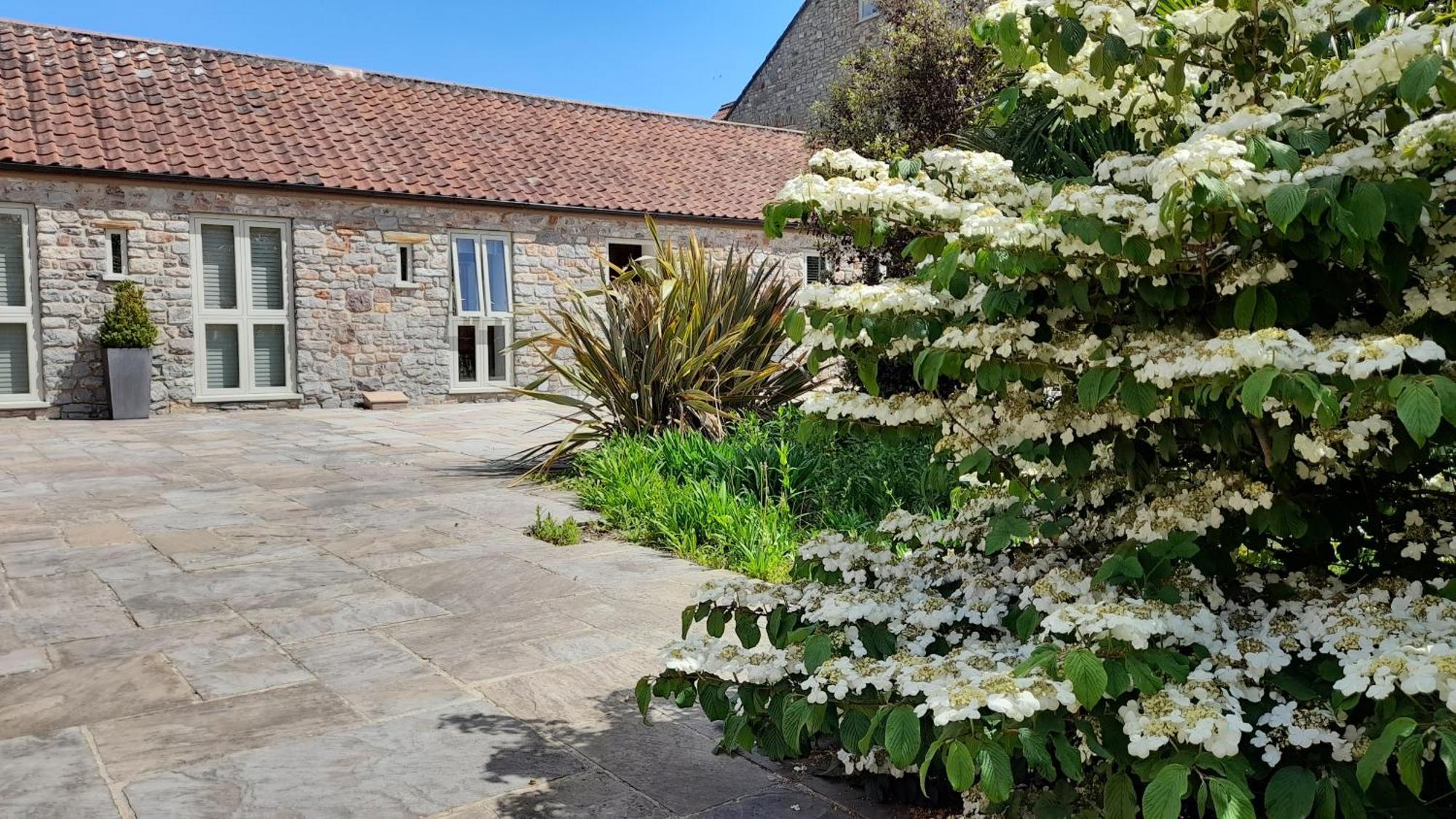 Luxury Barn Conversion Wells Eksteriør billede